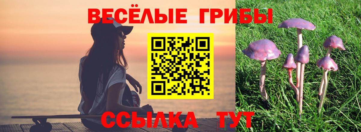Псилоцибиновые грибы GOLDEN TEACHER Сатка